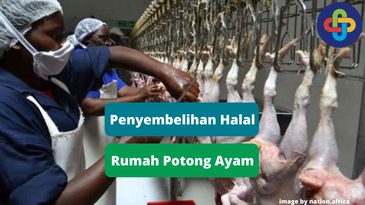 Inilah 7 Penyembelihan Secara Halal di Rumah Potong Ayam (RPA)